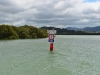 newzealand_2_0156