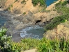 newzealand_2_0201