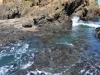 newzealand_2_0221