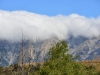 newzealand_christchurch_tranzalpine_0101