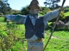 newzealand_matamata_hobbiton_0131