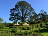 newzealand_matamata_hobbiton_0136