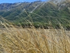 newzealand_mavora_lake_0061