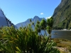 newzealand_milford_sound_0151