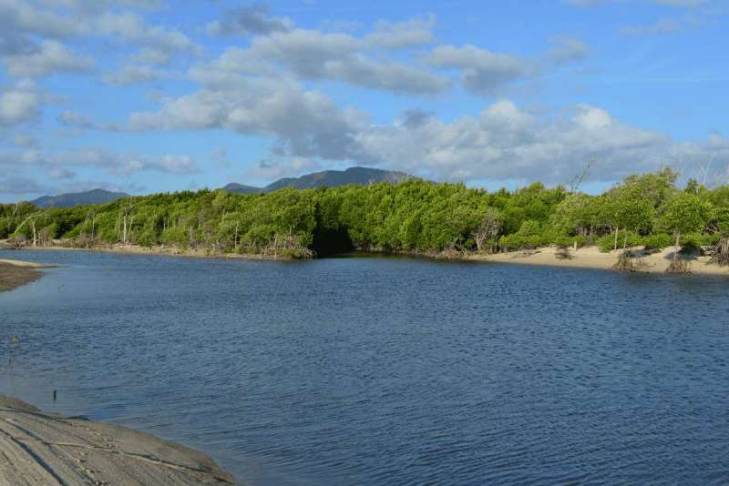 night_island_0026
