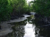 night_island_0006