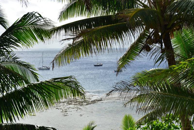 niue_0026