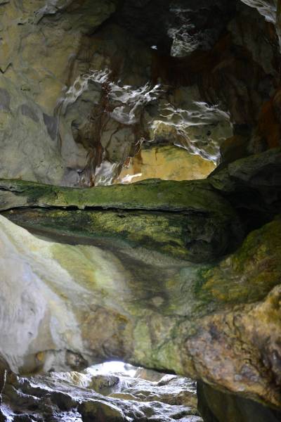 niue_0036