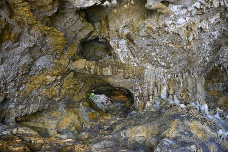 niue_0041