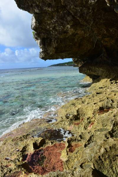 niue_0046