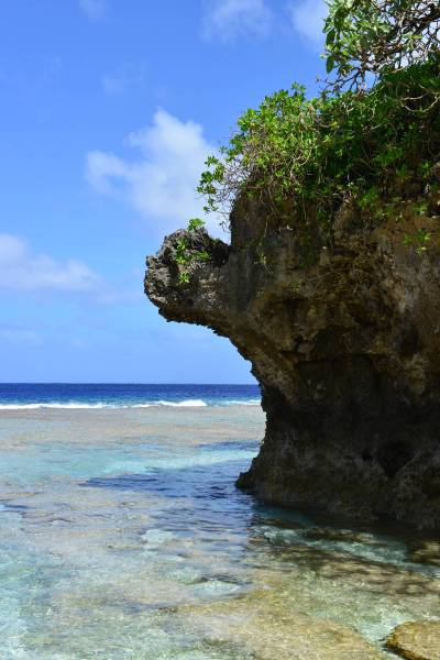 niue_0071