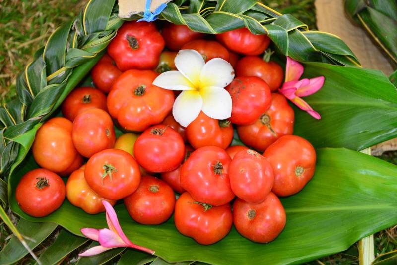niue_0116