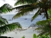 niue_0026