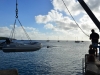 niue_0056