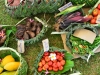 niue_0131