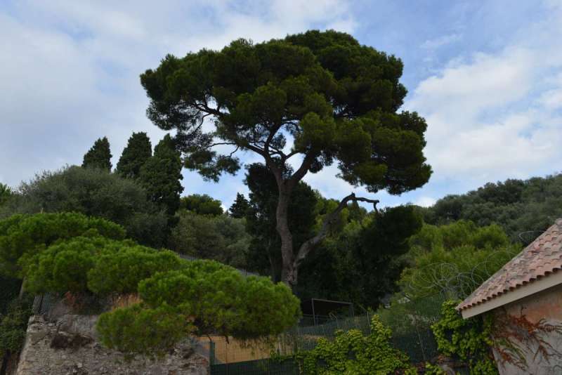 nizza_0071