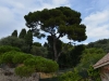 nizza_0071