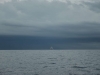 nizza_0116