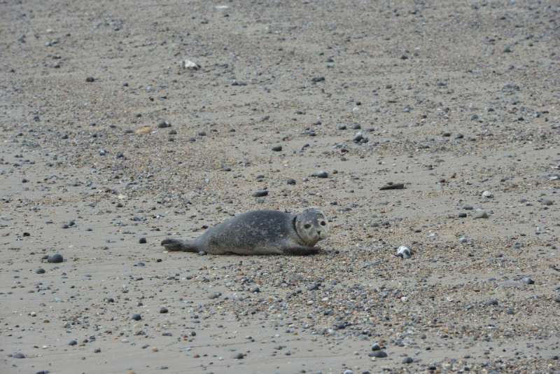 norderney_helgoland_0056