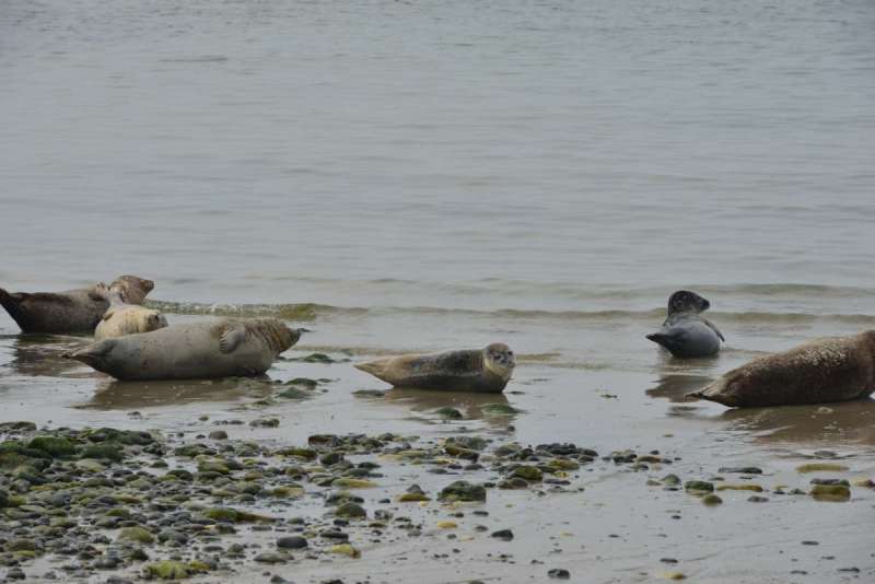norderney_helgoland_0061