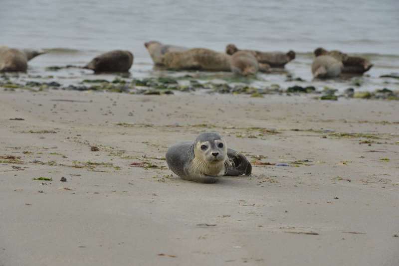 norderney_helgoland_0066