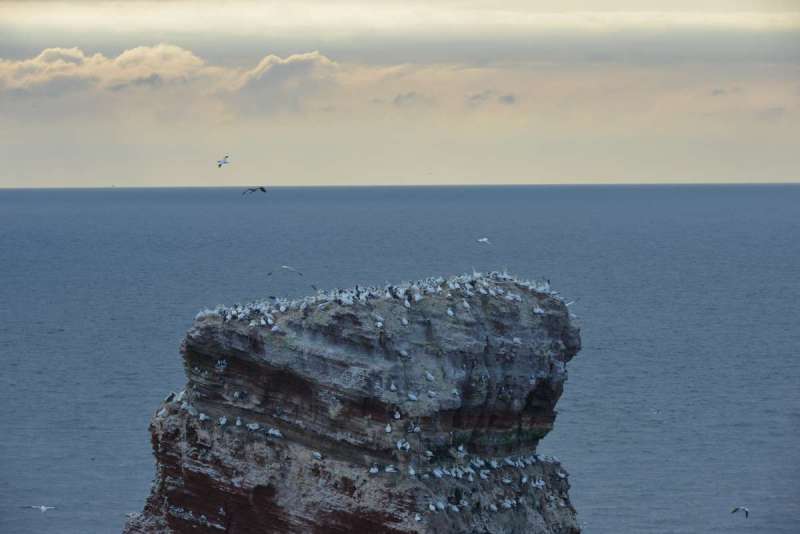 norderney_helgoland_0121