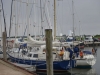 norderney_helgoland_0001