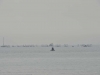 norderney_helgoland_0071