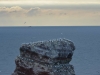 norderney_helgoland_0121