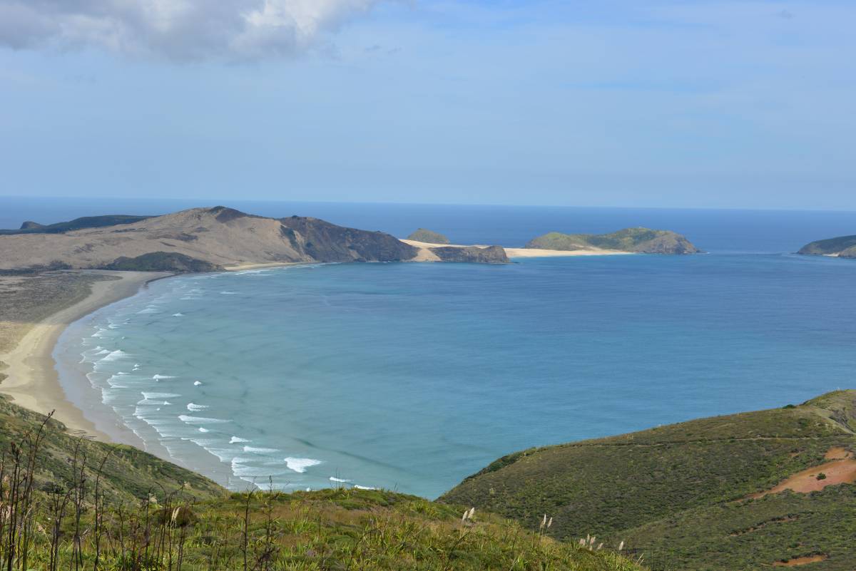 nz_cap_reinga_to_waipoua_forest_0006