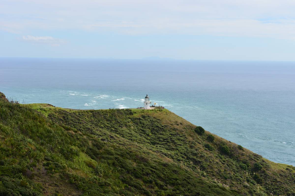 nz_cap_reinga_to_waipoua_forest_0016