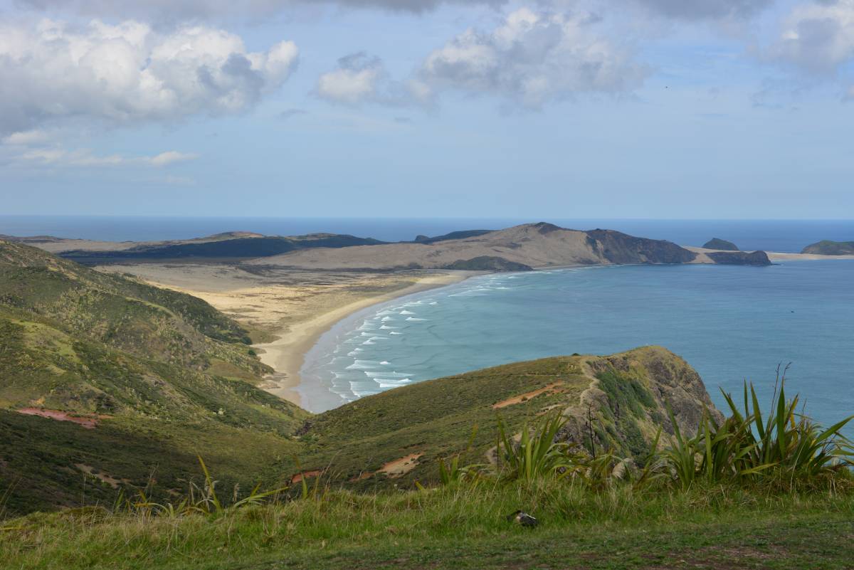 nz_cap_reinga_to_waipoua_forest_0021