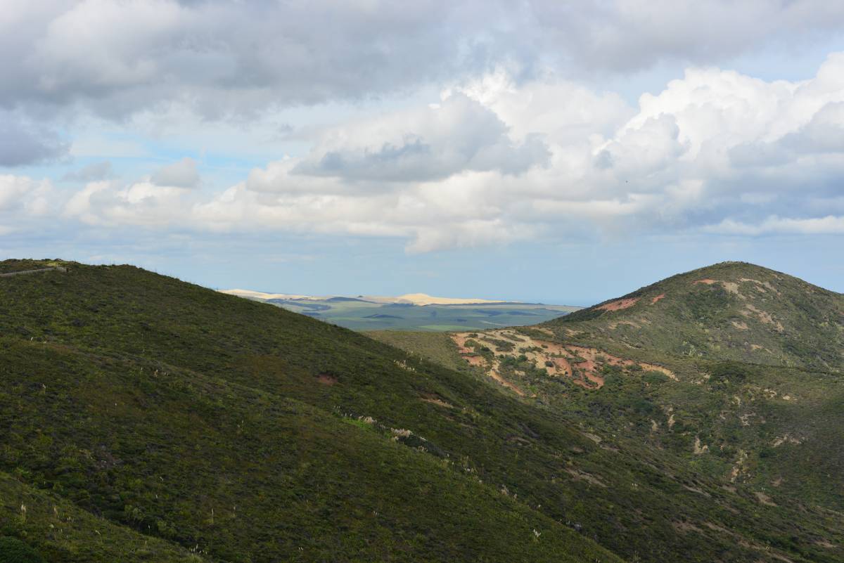 nz_cap_reinga_to_waipoua_forest_0026