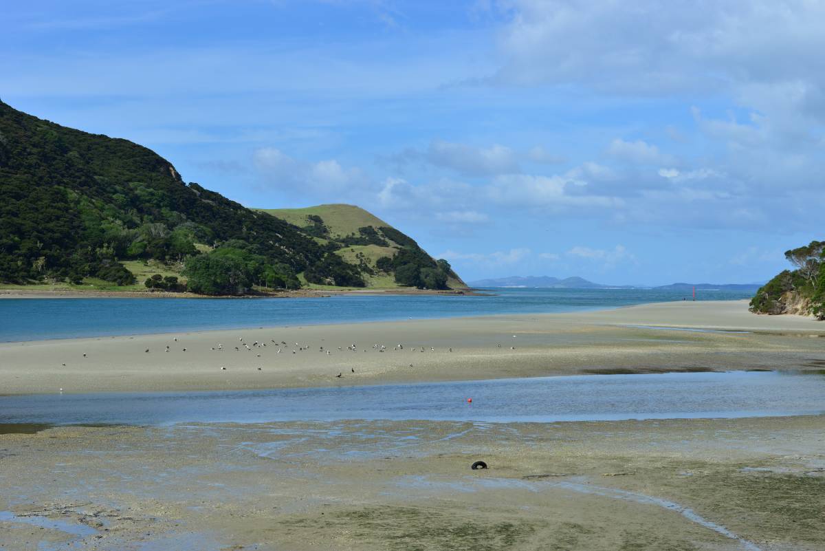 nz_cap_reinga_to_waipoua_forest_0036