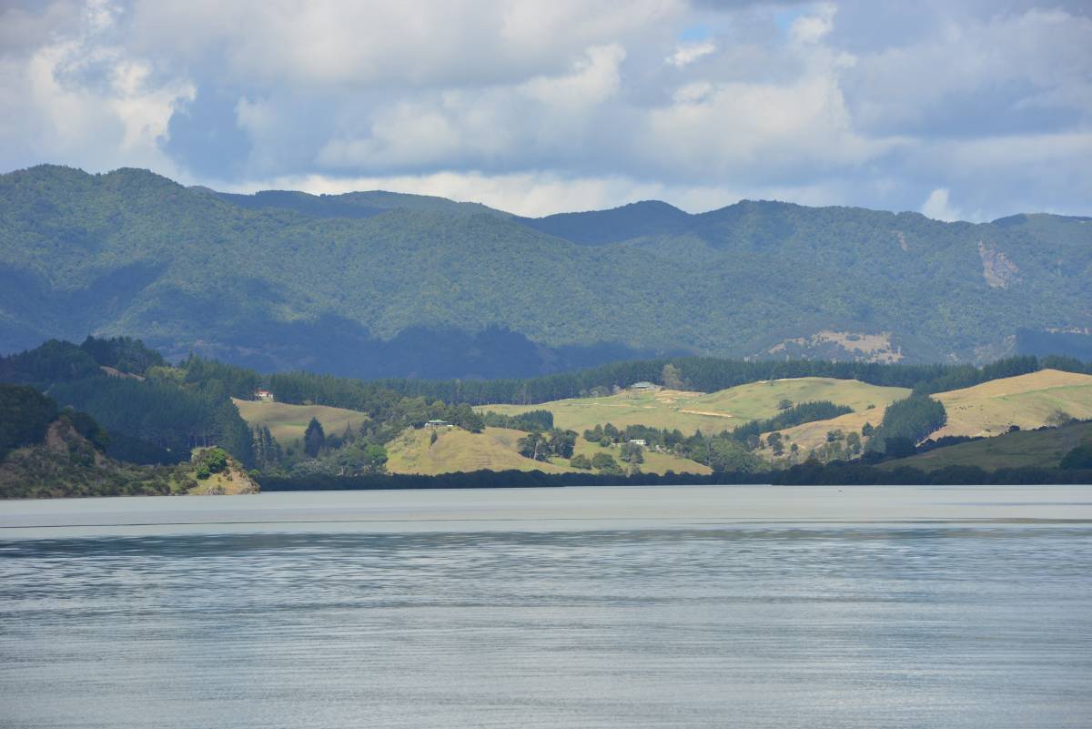nz_cap_reinga_to_waipoua_forest_0041
