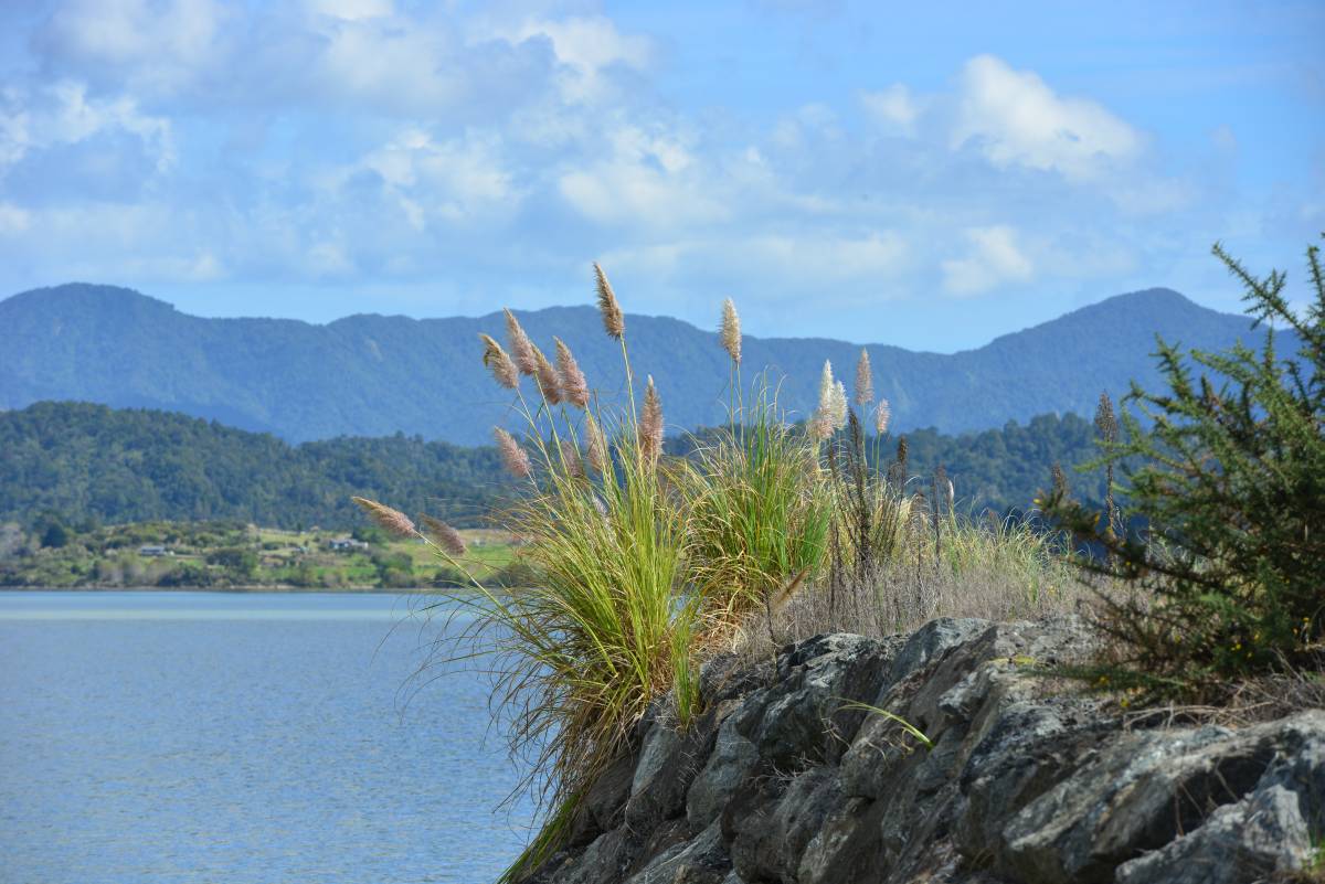 nz_cap_reinga_to_waipoua_forest_0046