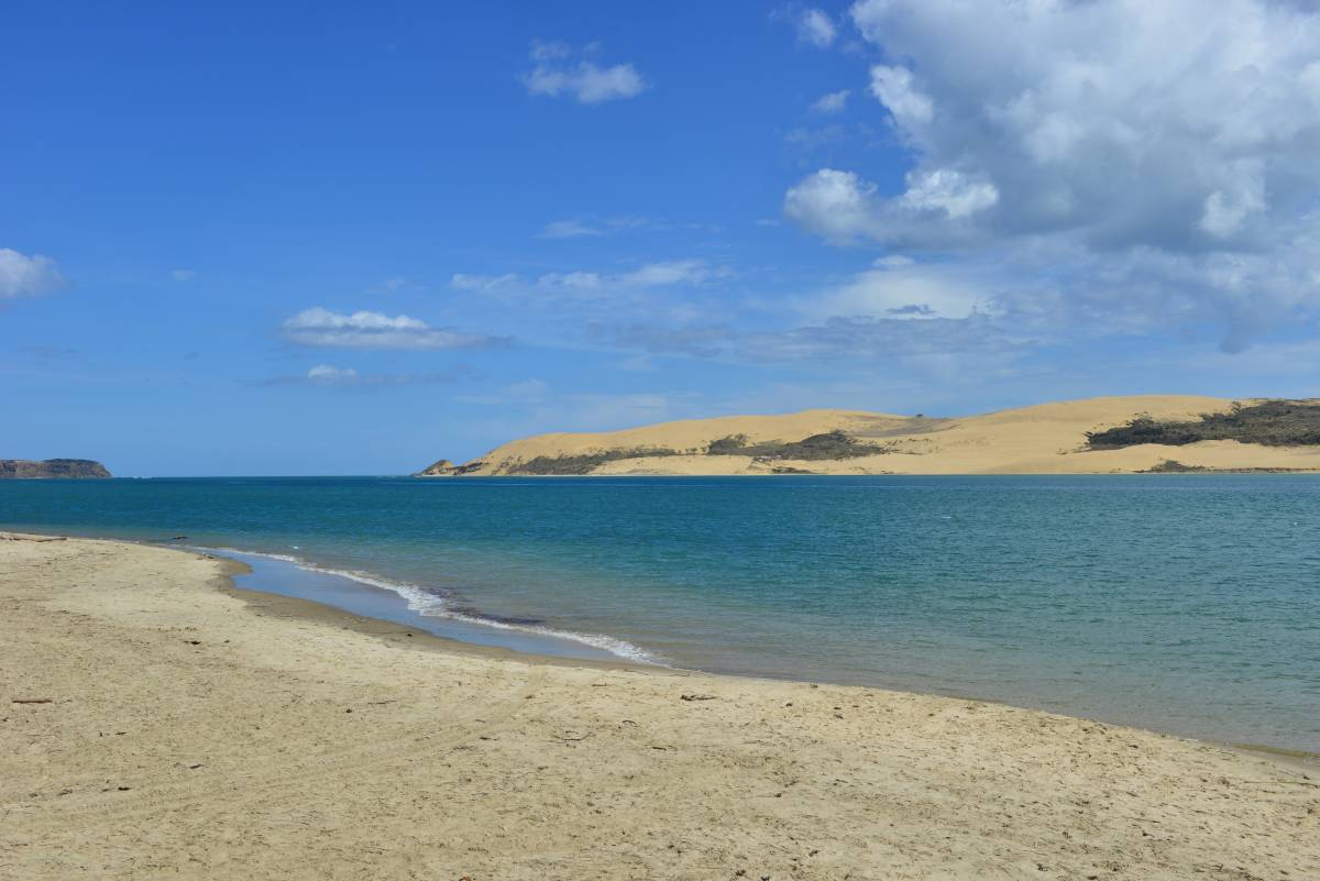 nz_cap_reinga_to_waipoua_forest_0061