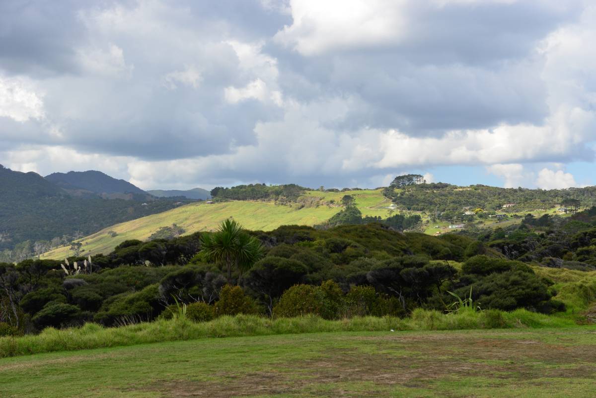 nz_cap_reinga_to_waipoua_forest_0066