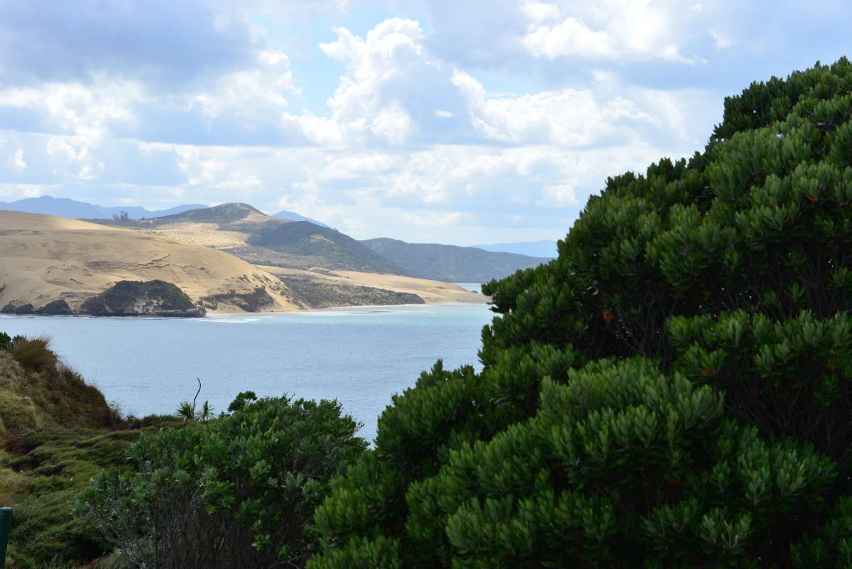 nz_cap_reinga_to_waipoua_forest_0071