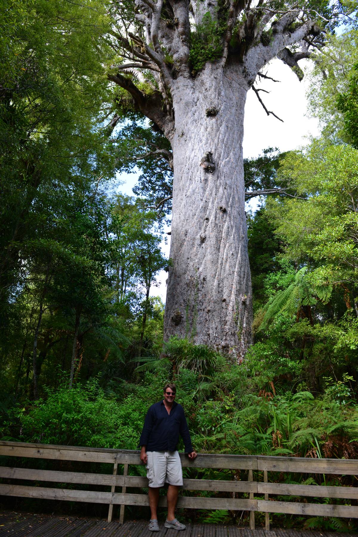 nz_cap_reinga_to_waipoua_forest_0086