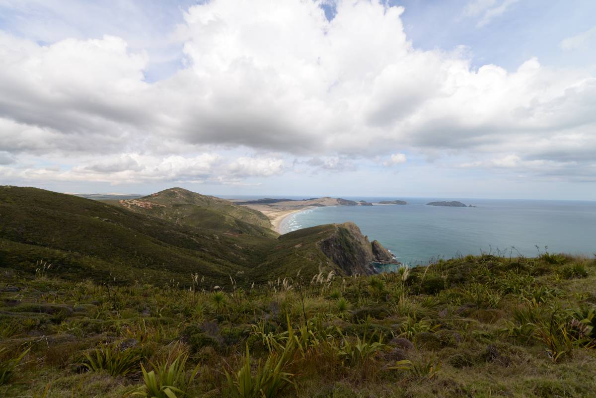 nz_cap_reinga_to_waipoua_forest_0096