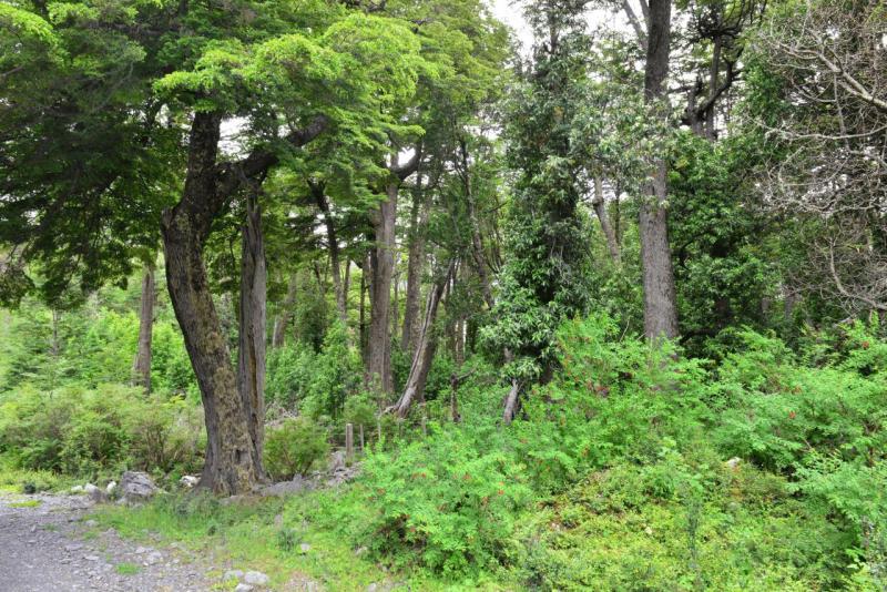 villa_ohiggens_029
