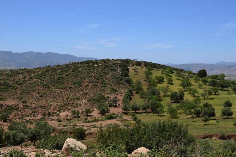 ouzoud_003