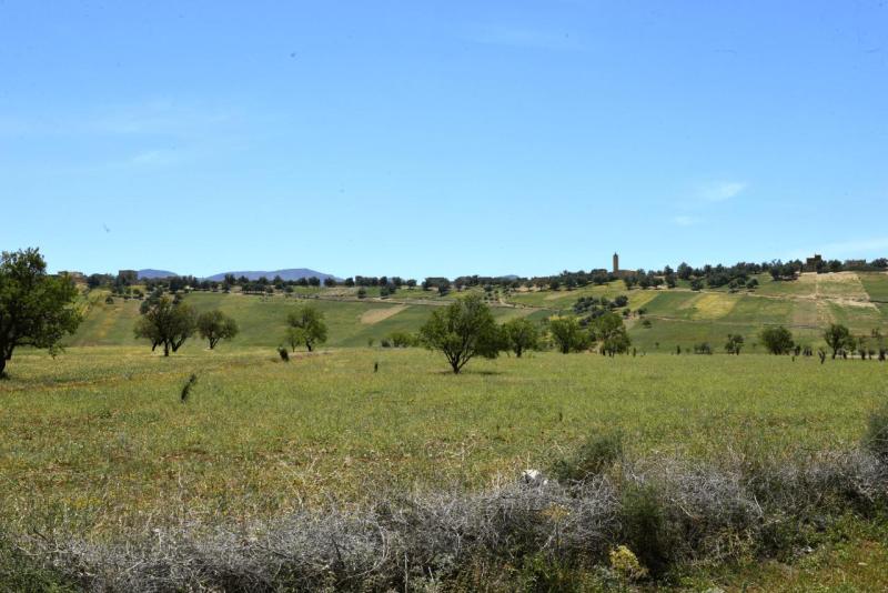 ouzoud_004