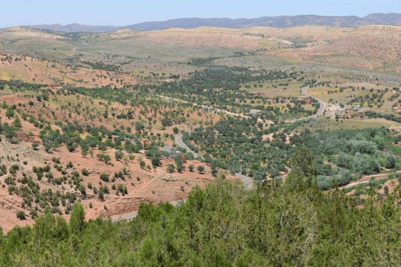 ouzoud_007