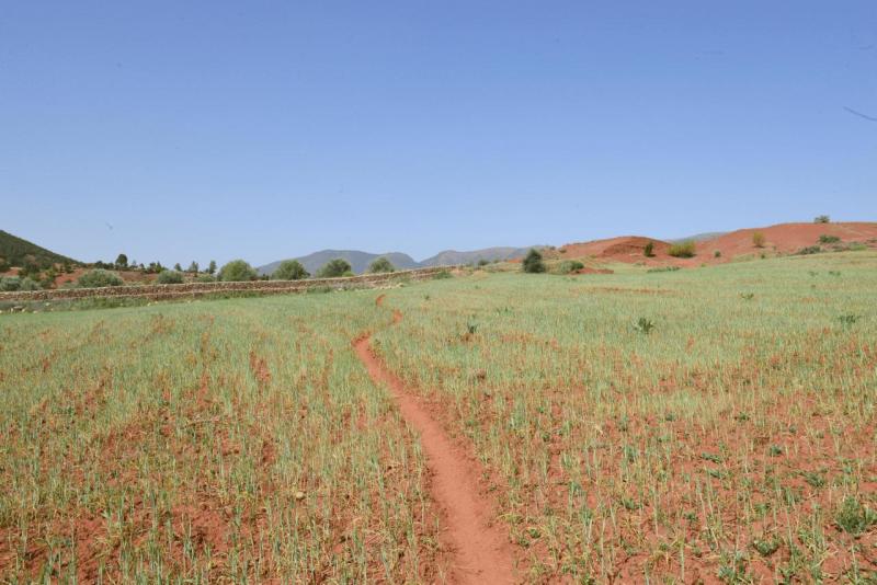 ouzoud_012