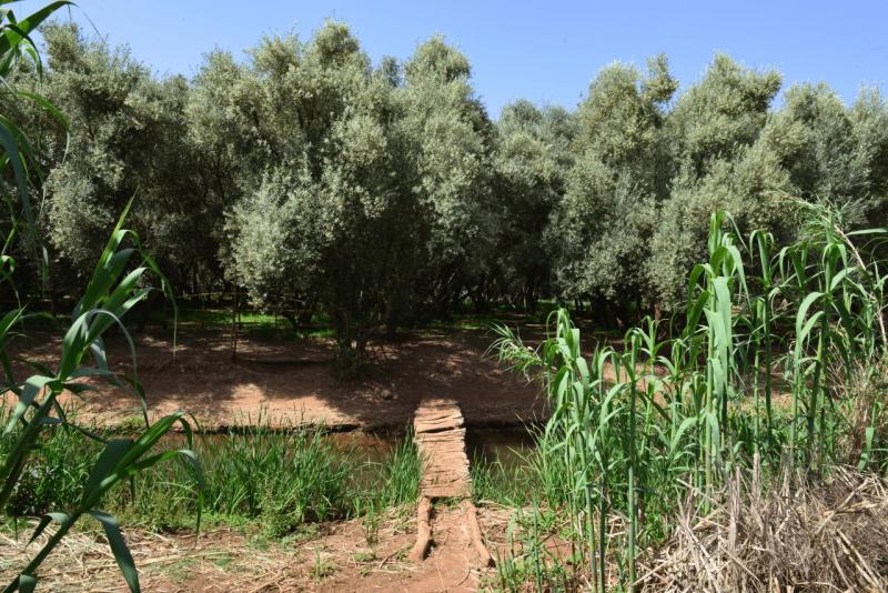 ouzoud_013