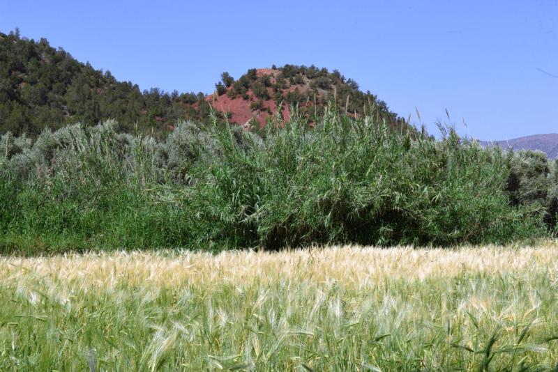 ouzoud_014