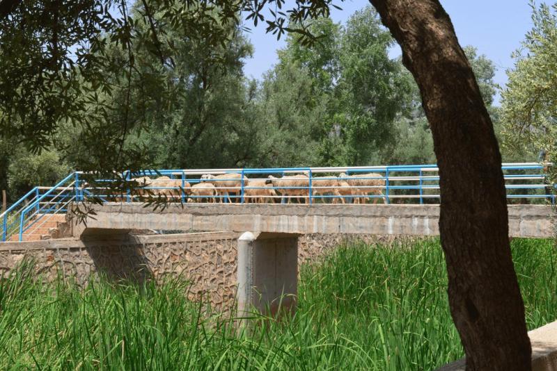 ouzoud_020
