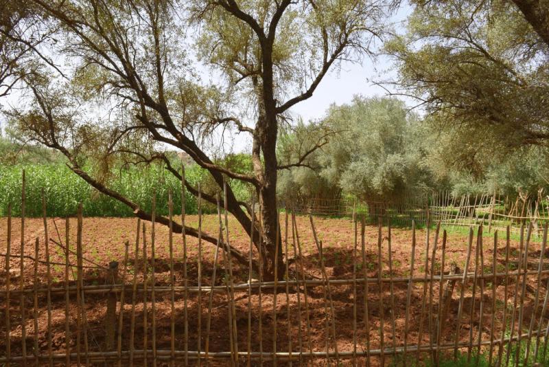 ouzoud_027